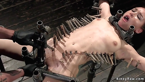 Hawt sweetheart's sexy time in the kitchen