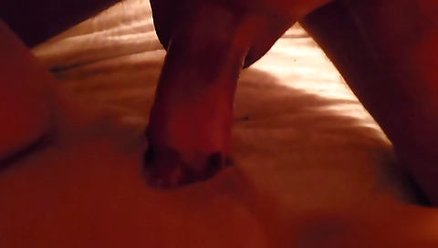 Cho suppl embarrassmenten al sends roxal smooth vivid